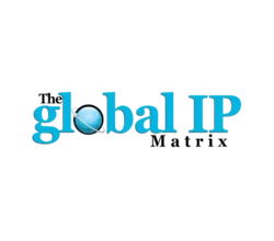 The Global IP Matrix